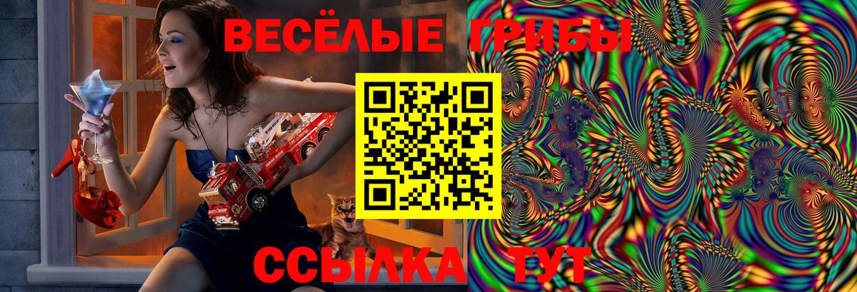 Галлюциногенные грибы мицелий Благодарный