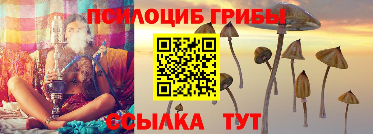 Благодарный  Псилоцибиновые грибы GOLDEN TEACHER  Вход с VPN 